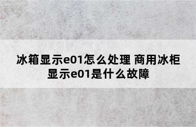 冰箱显示e01怎么处理 商用冰柜显示e01是什么故障